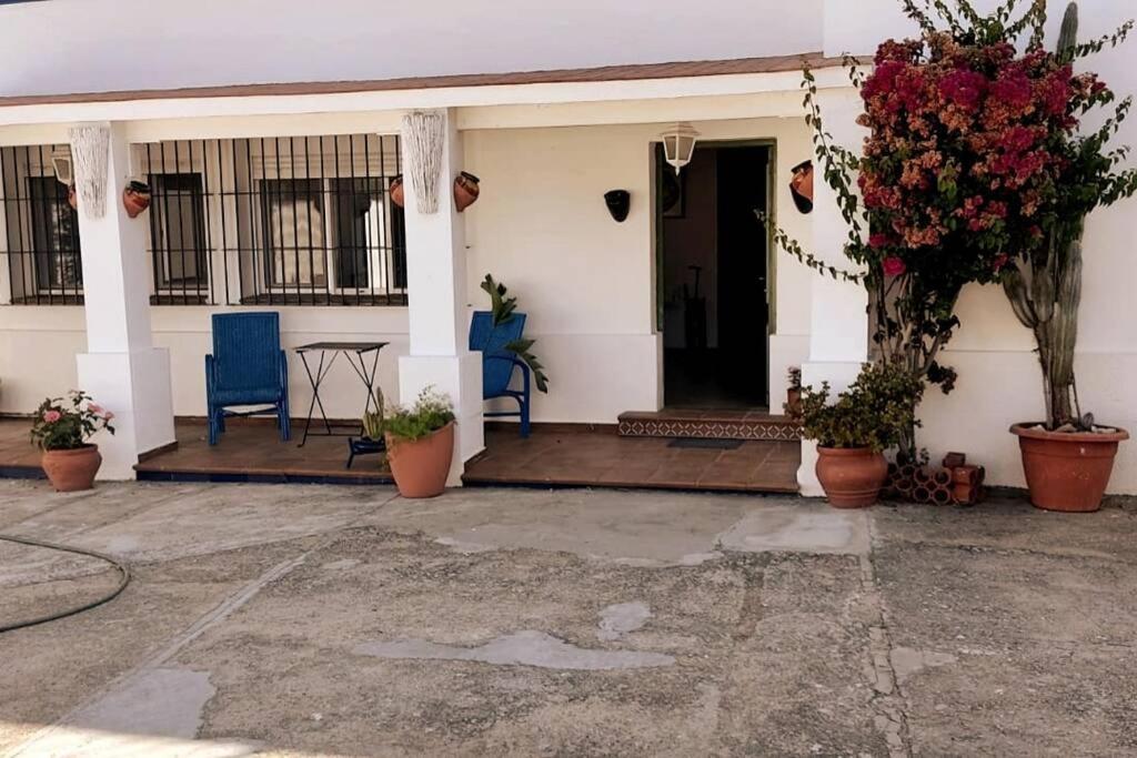 Sagrado Corazon - Chalet Con Piscina, A 25M Playa Sanlúcar de Barrameda Exteriör bild
